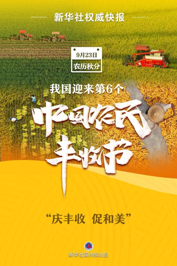 六台至尊下载
